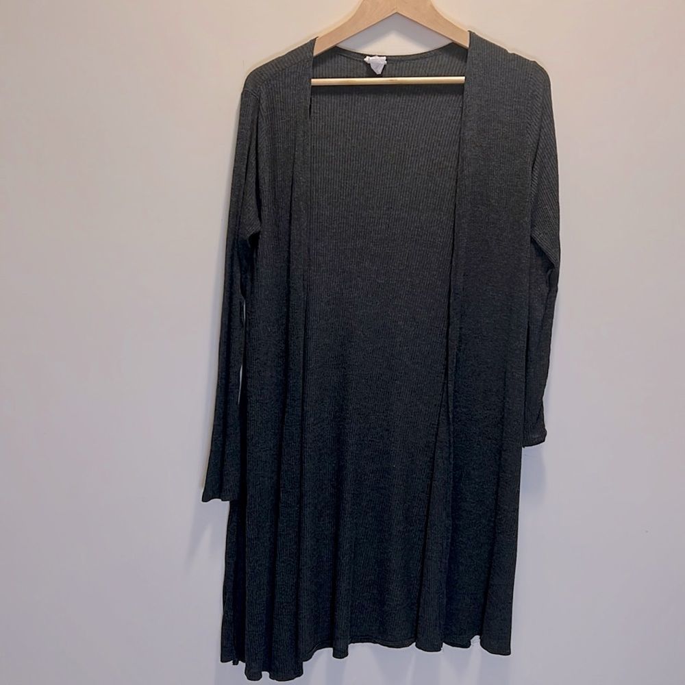 Gray Duster